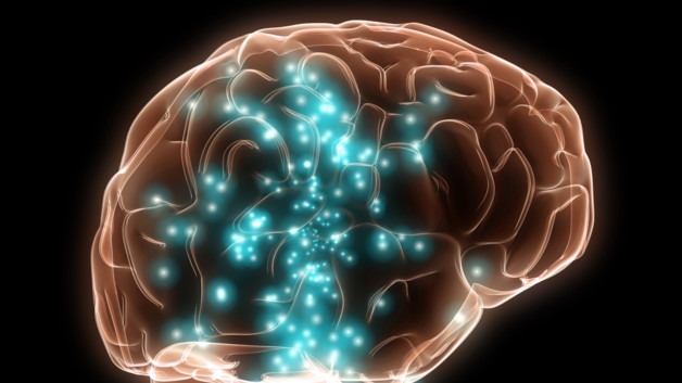 neuroscience-quand-les-emotions-du-systeme-nerveux-deviennent-10753045cierx_2059